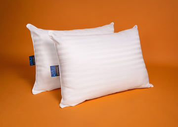 Solutions Waterproof 2-Pk Pillow product shot