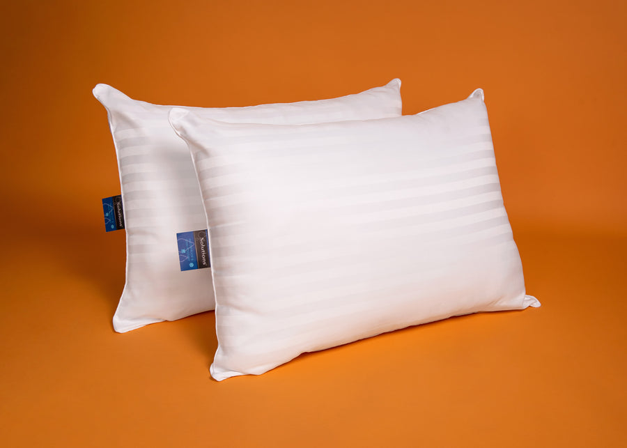 Solutions Waterproof 2-Pk Pillow product shot